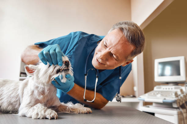 , KS Emergency Dental Service Company